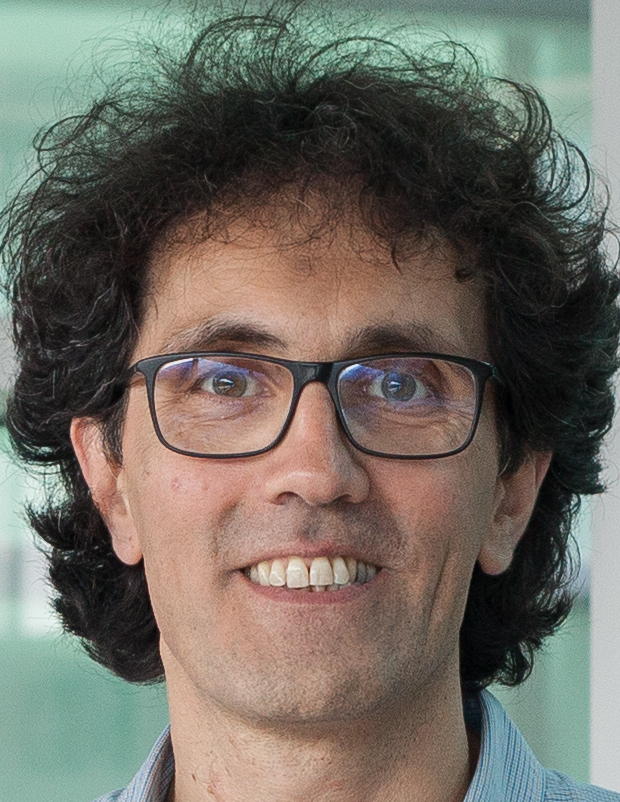 Diego Calvanese